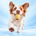 Dog Dental Chew Toy | Supports Cleaner Teeth Through Play