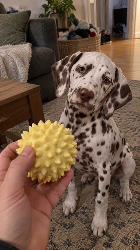 Review Card