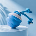 Interactive dog toy close-up of self-moving rolling design