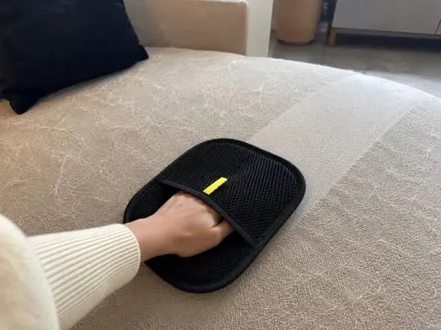 Pet hair removal glove cleaning pet hair from furniture