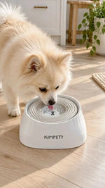 Water bowl for dogs showing how the floating plate works