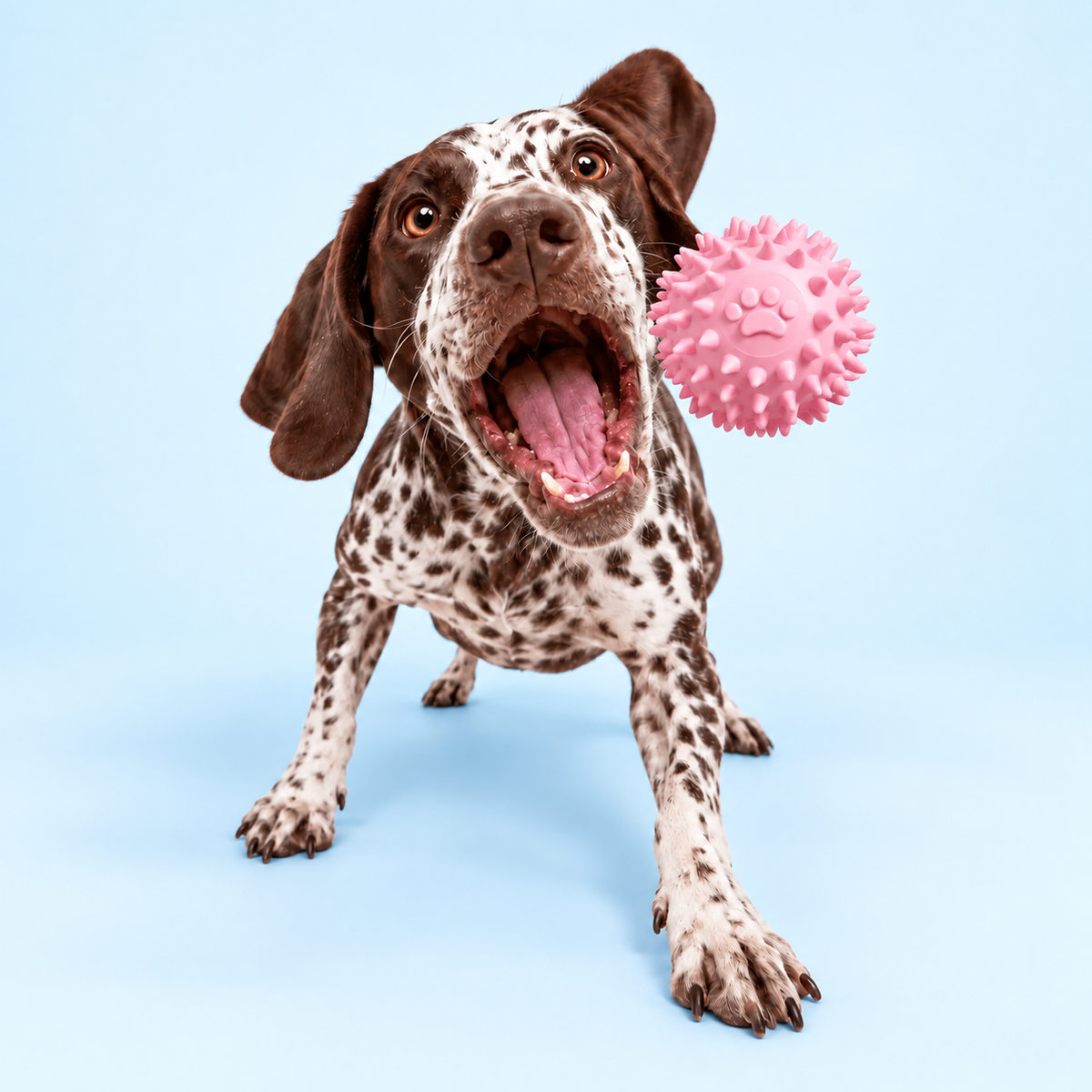 Dog Dental Chew Toy | Supports Cleaner Teeth Through Play