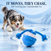 Interactive dog toy self-rolling to encourage chasing and play