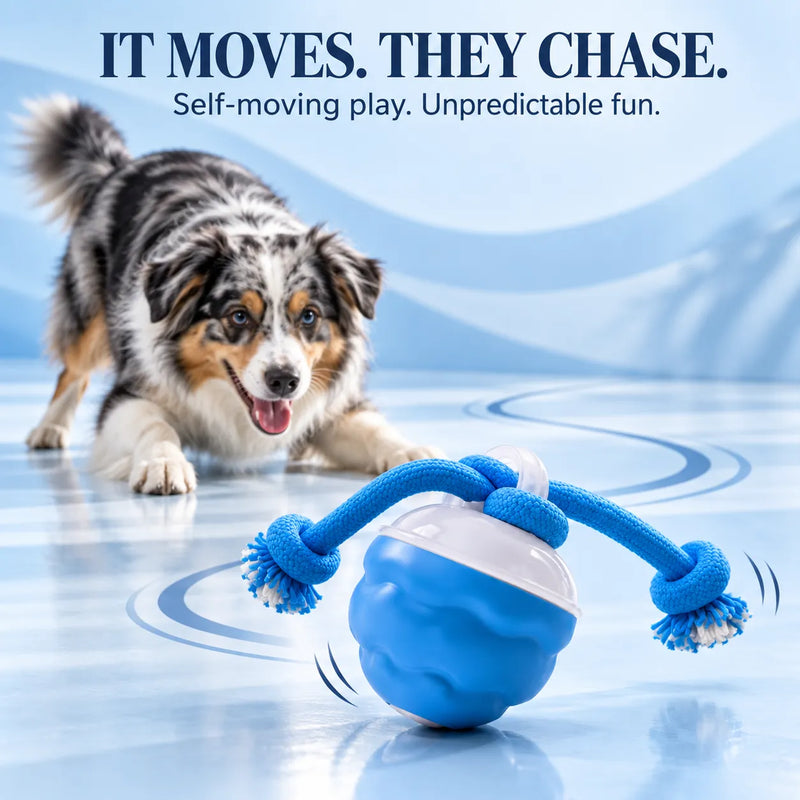 Interactive dog toy self-rolling to encourage chasing and play