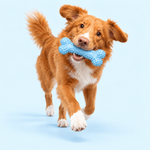 Dog Dental Chew Toy | Supports Cleaner Teeth Through Play